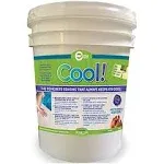 Encore Coating ECK-1 Cool Pool Deck Coating