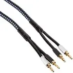 SVS SoundPath Ultra Speaker Cable