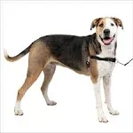 PetSafe Easy Walk Dog Harness - BLACK.