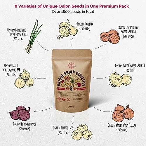 Organo Republic 8 Onion Seeds Variety Pack Heirloom Non-GMO Onion Seed Sets for Planting Indoors Outdoors Gardening 1600+ Seeds: Walla Walla Green Oni