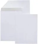 Amazon Basics Catalog Mailing Envelopes, Peel and Seal, 9x12 Inch, White, 250-Pk