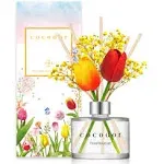 Cocodor Tulip & Preserved Real Flower Reed Diffuser/Floral Bouquet / 6.7oz(200ml ...