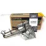 Cinch Traps Medium Gopher Trap Kit