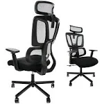 CLATINA Ergonomic Office Chair with Lumbar Support and Mesh High Back Thick ...