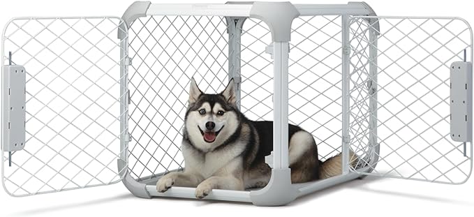 Diggs Evolv Dog Crate