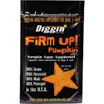 Diggin Your Dog Firm Up! Pumpkin