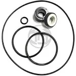 Compatible for AquaFlo Flo-Master XP2 Series, Shaft Seal &amp; O-ring Kit, Chlorine