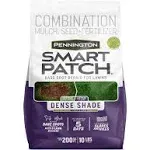 Pennington Smart Patch Mixed Dense Shade Seed/Fertilizer/Mulch Repair Kit 10 lb