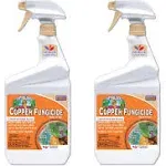 Bonide Products 775 Ready-to-Use Copper Fungicide 32-Ounce [2-pack]