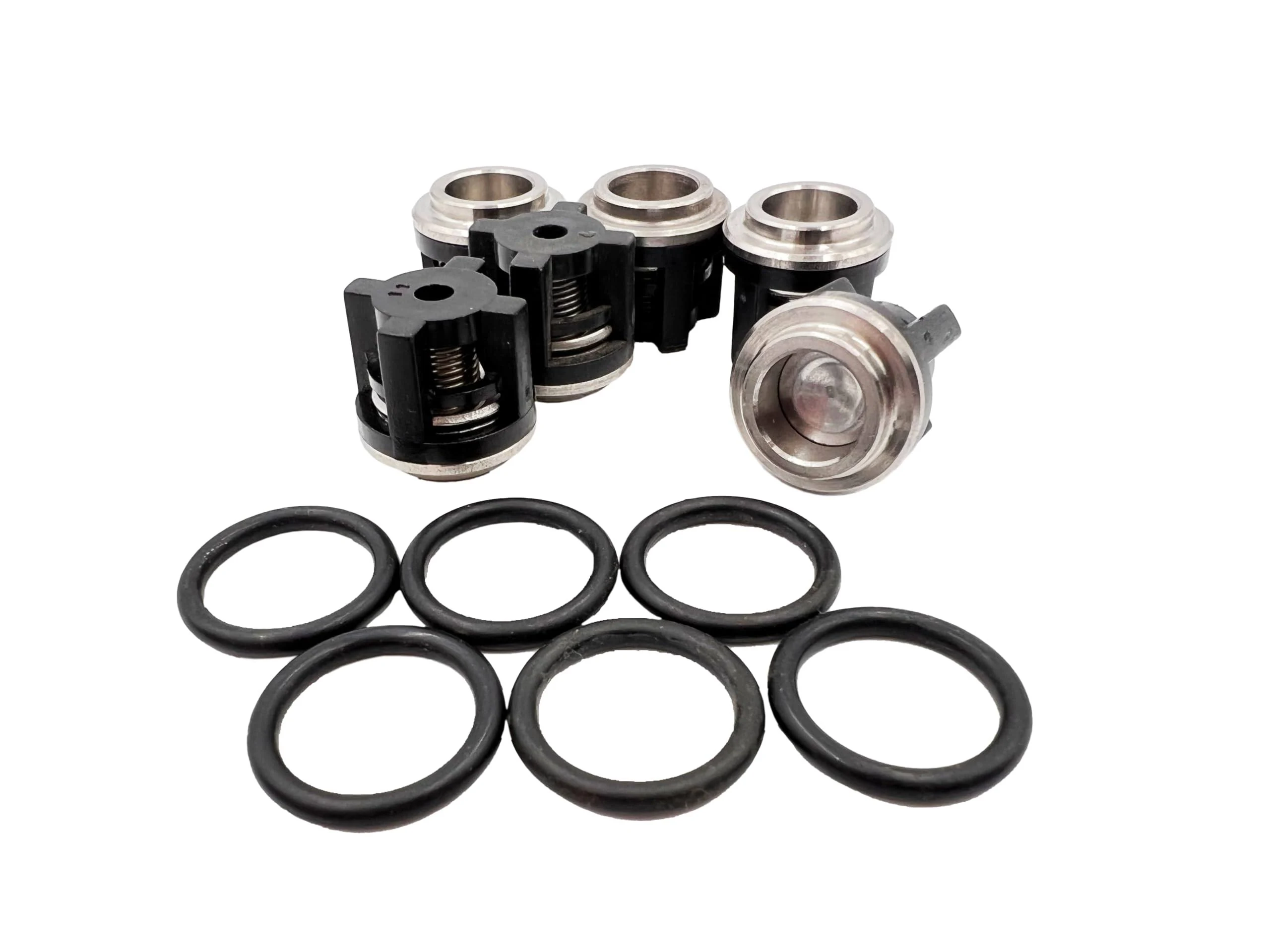 AR Annovi Reverberi Replacement Valve Kit 6 Pack, AR1864, Black