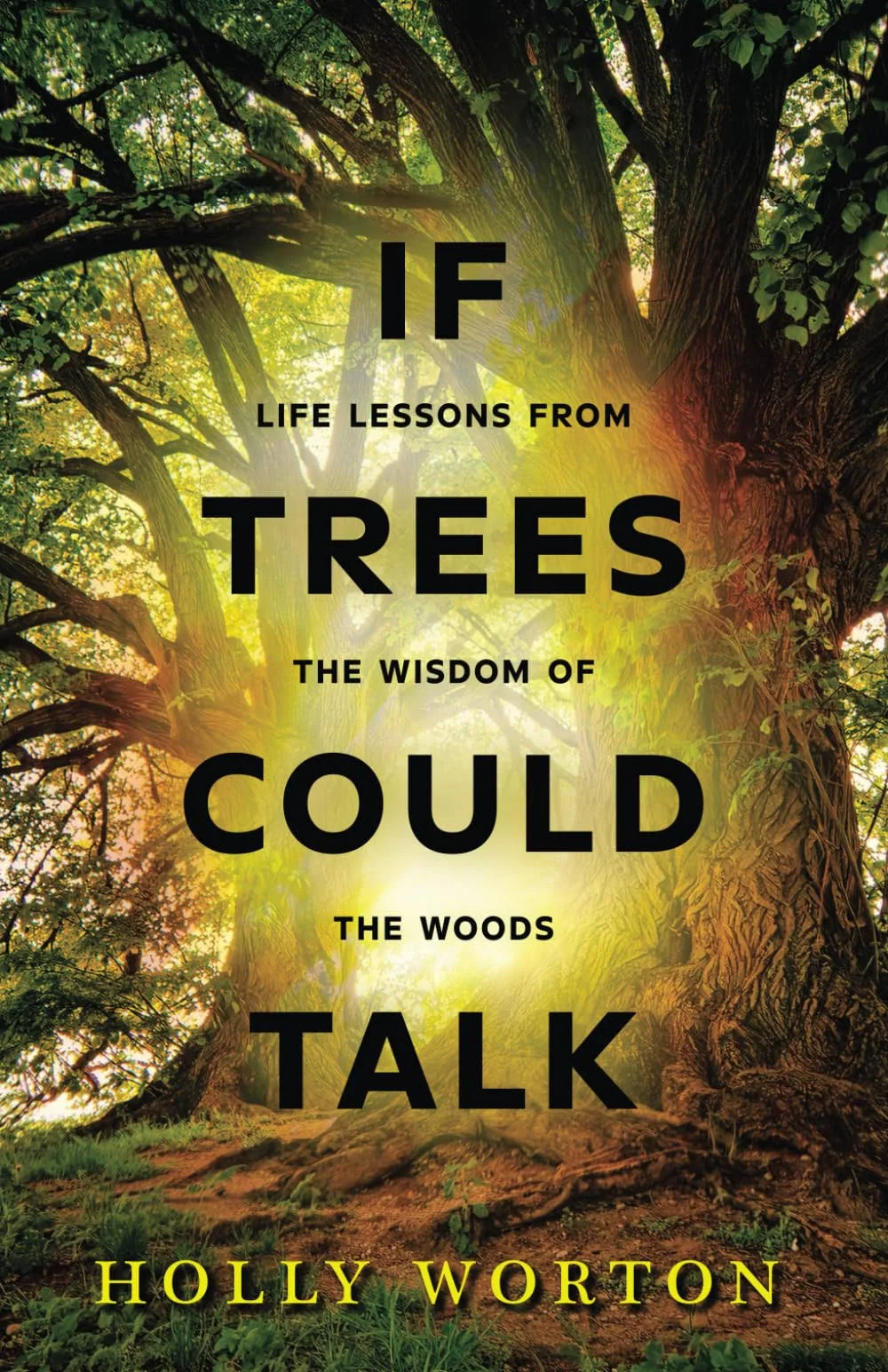 If Trees Could Talk: Life Lessons from the Wisdom of the Woods [Book]