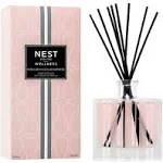 Nest New York - Himalayan Salt & Rosewater Reed Diffuser