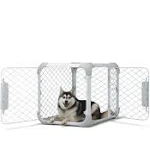 Diggs Medium Evolv Dog Crate - Ash