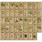 Herb and Spice Apothecary Labels Vintage Labels Stickers for Jars Bottles Tags