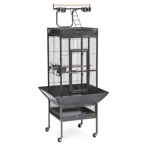 Prevue Pet Playtop Bird Home Black 3151Blk