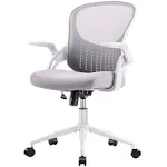 Ergonomic Mesh Computer Chair