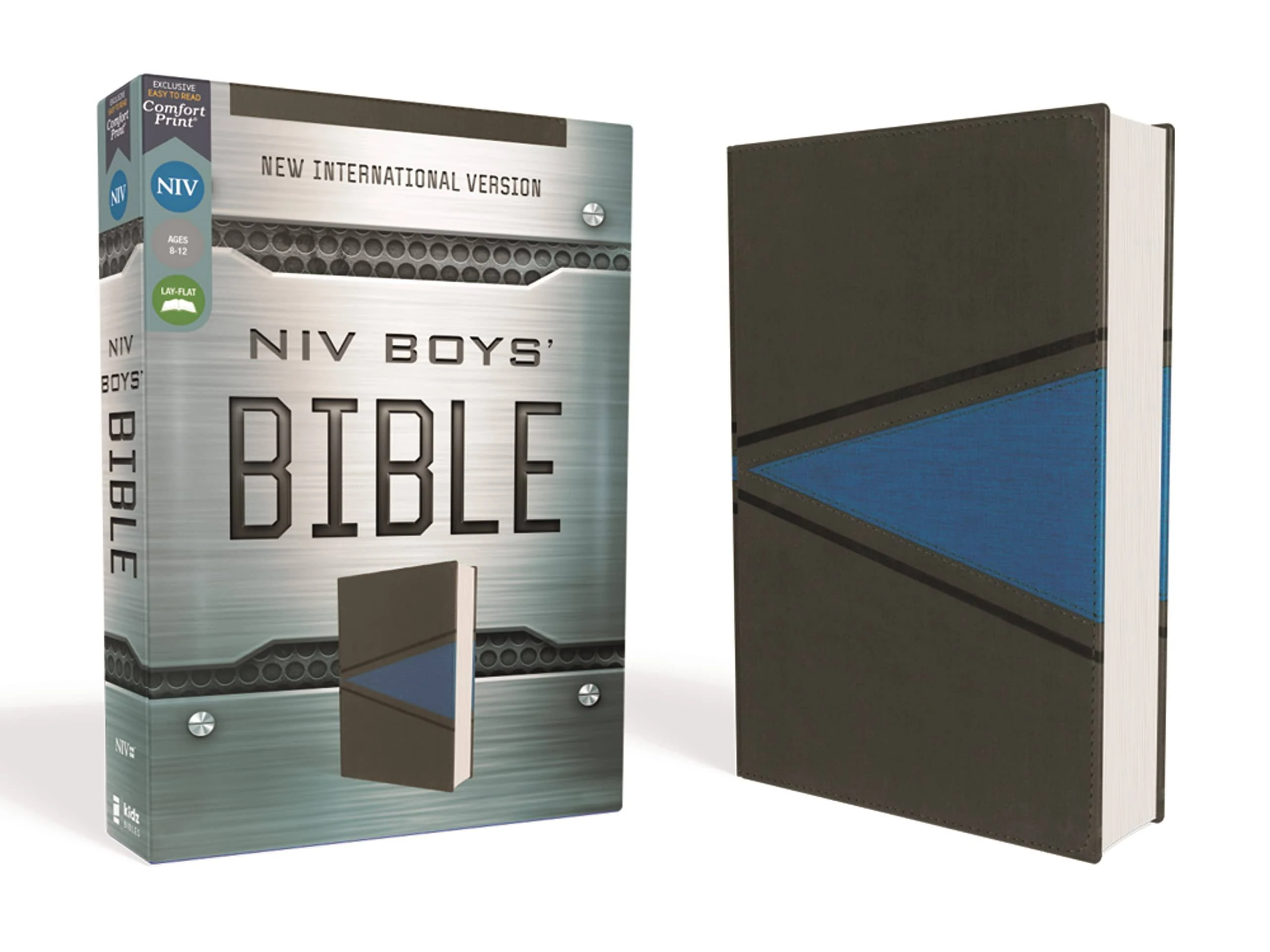 NIV Boys Bible [Grey/Blue] [Book]