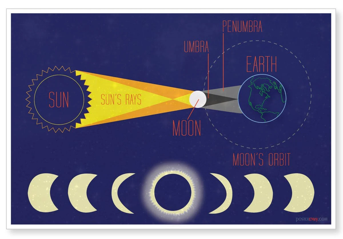 Solar Eclipse - NEW Classroom Science Poster