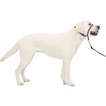 PetSafe Gentle Leader Headcollar Large Deep Purple