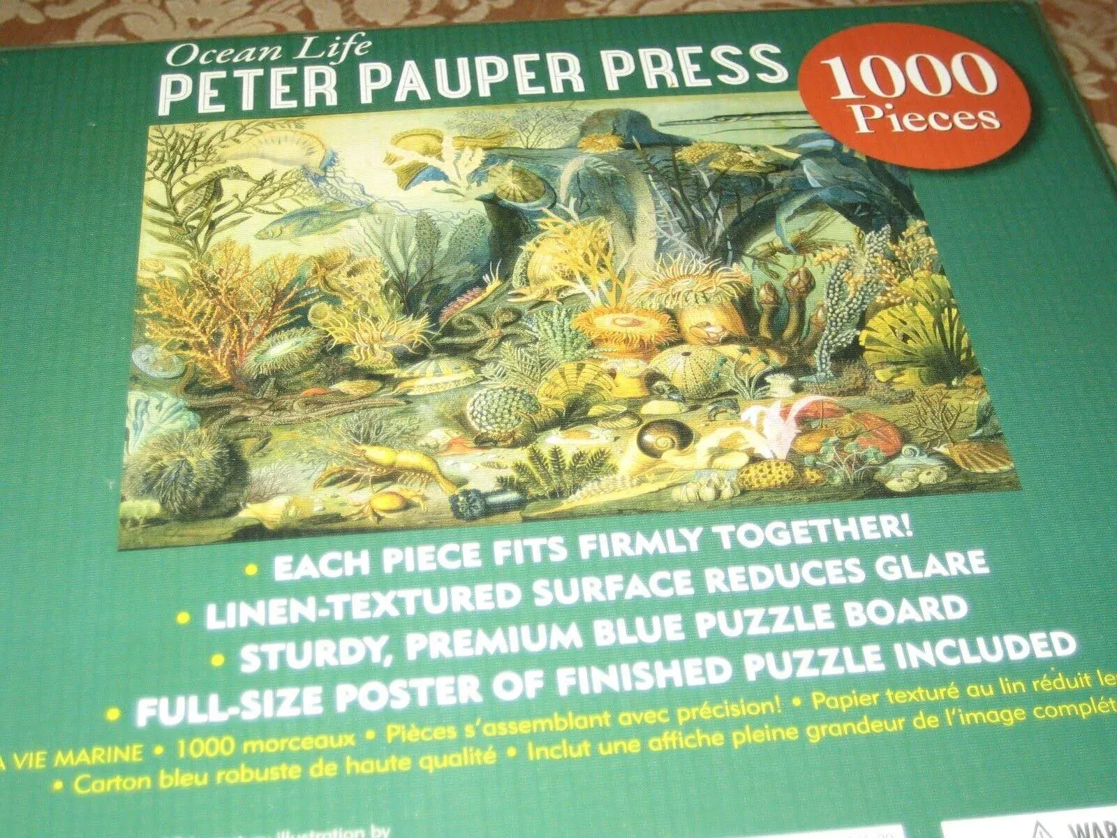 Ocean Life Jigsaw Puzzle: 1000 Pieces