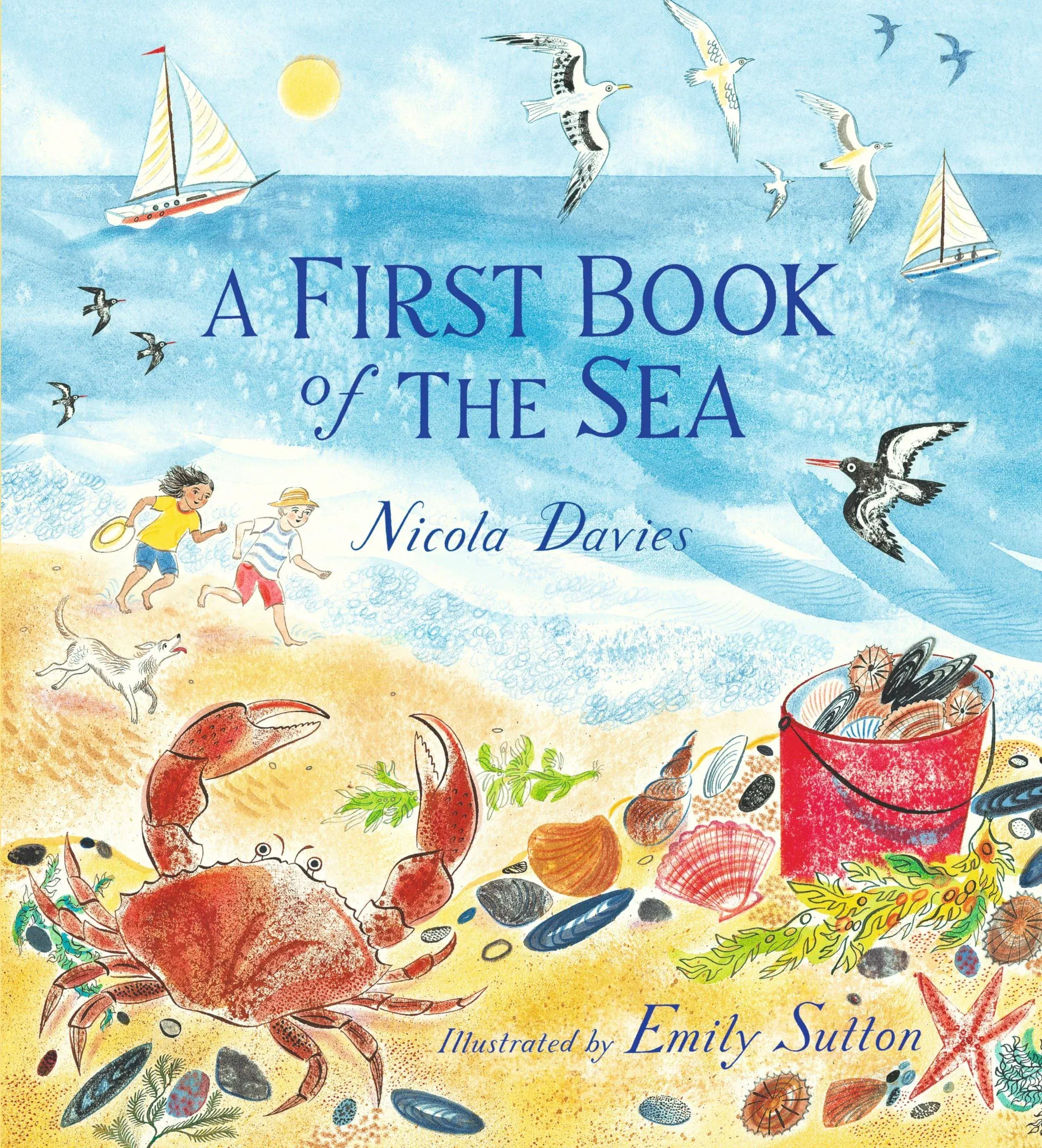 A First Book of the Sea [Book]