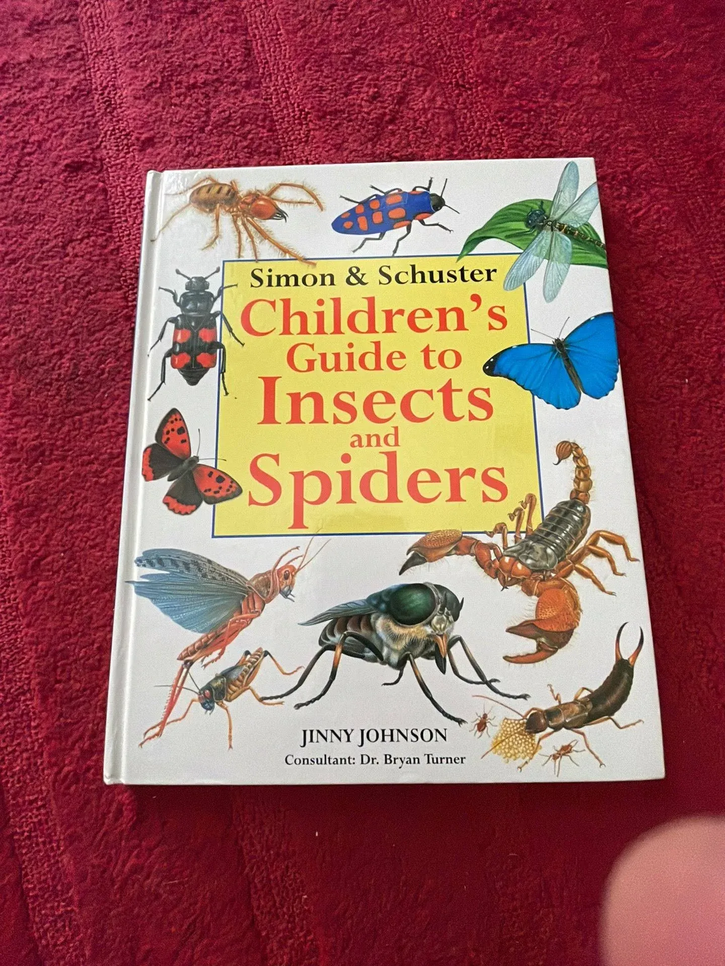 Simon & Schuster Children's Guide to Insects and Spiders by Jinny Johnson