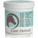 Coat Defense Trouble Spot Drying Paste - 24 oz