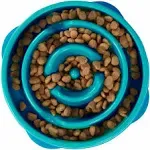 Pet Cat Dog Bowl Slow Feeder Food Maze Medium - Turquoise