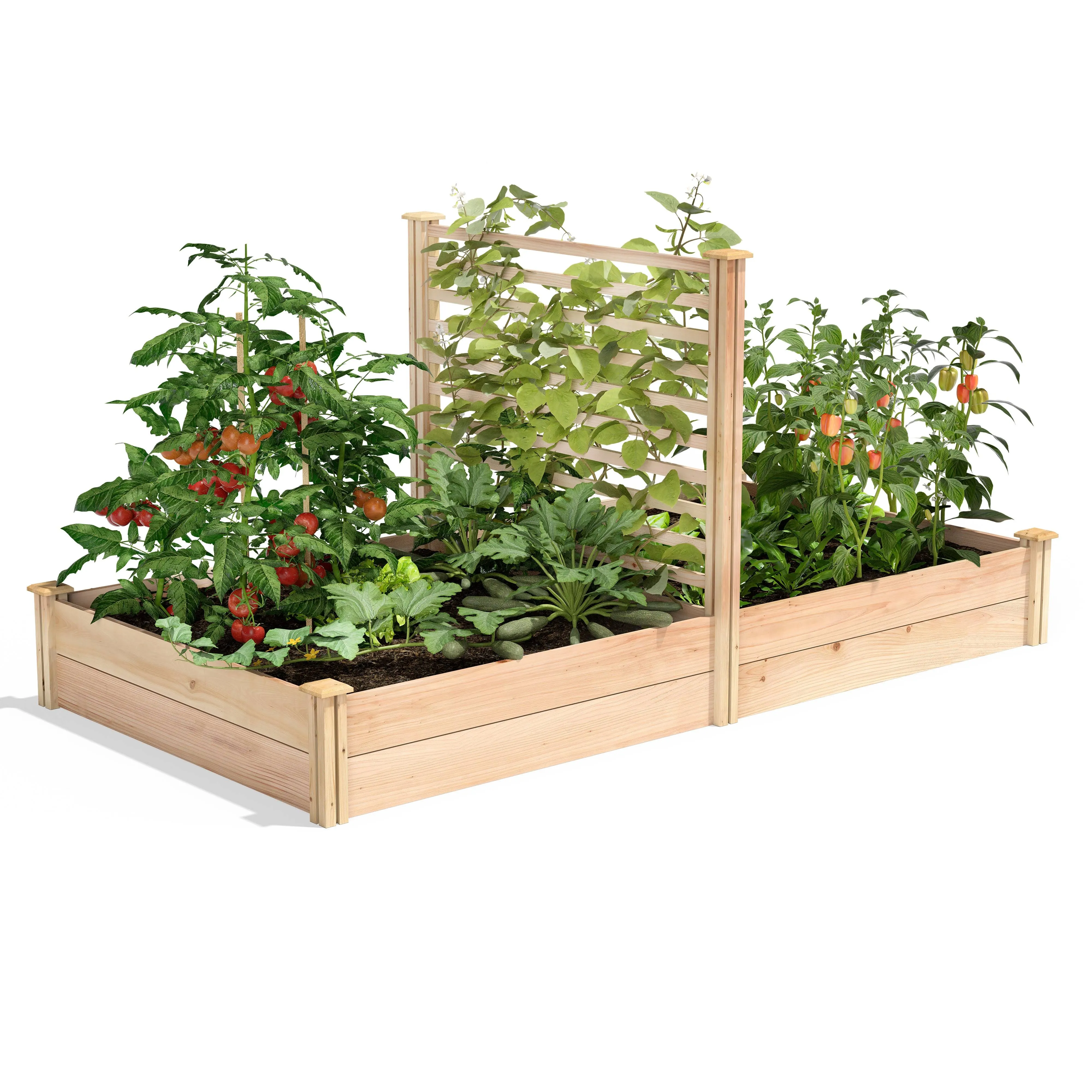 Greenes Fence 4 ft. x 8 ft. x 11 in. Premium Cedar Raised Garden Bed with Trellis