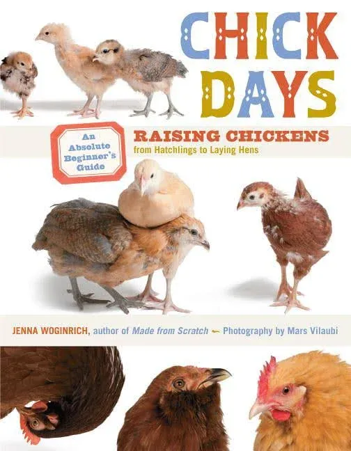 Chick Days Raising Chickens