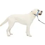 PetSafe Gentle Leader Headcollar Large / Royal Blue