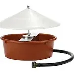 Automatic Poultry Waterer with Cover from Little Giant