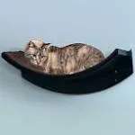 THE REFINED FELINE 22 Inch Lotus Leaf Cat Shelf in Black Espresso with Replac...