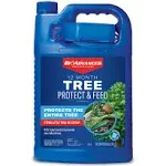 BioAdvanced 12 Month Protect and Feed 1-Gallon Liquid Tree Food 707915