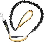 Mighty Paw Dual Handle Bungee Leash with Shock-Absorbing System