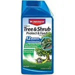 Bayer Advanced Tree and Shrub Protect and Feed Concentrate