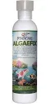 API Pond AlgaeFix - 8 oz