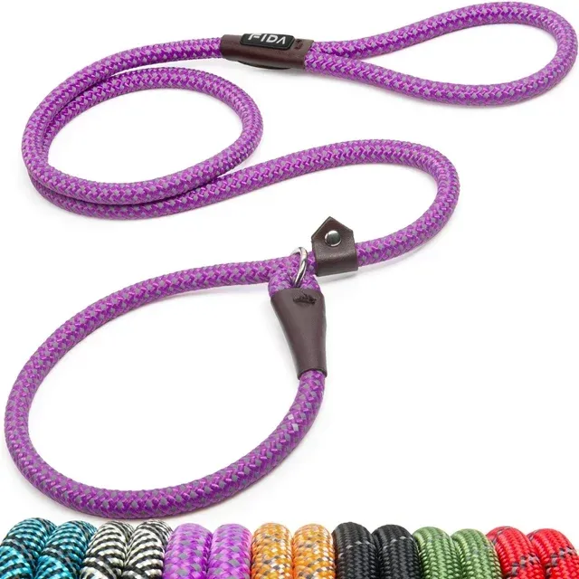 Fida Durable Slip Lead Dog Leash