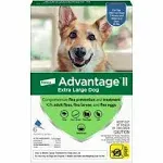 Advantage II for Dogs Over 55 lbs (6 Month)