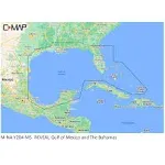 C-map Reveal Coastal Gulf Of Mexico And Bahamas