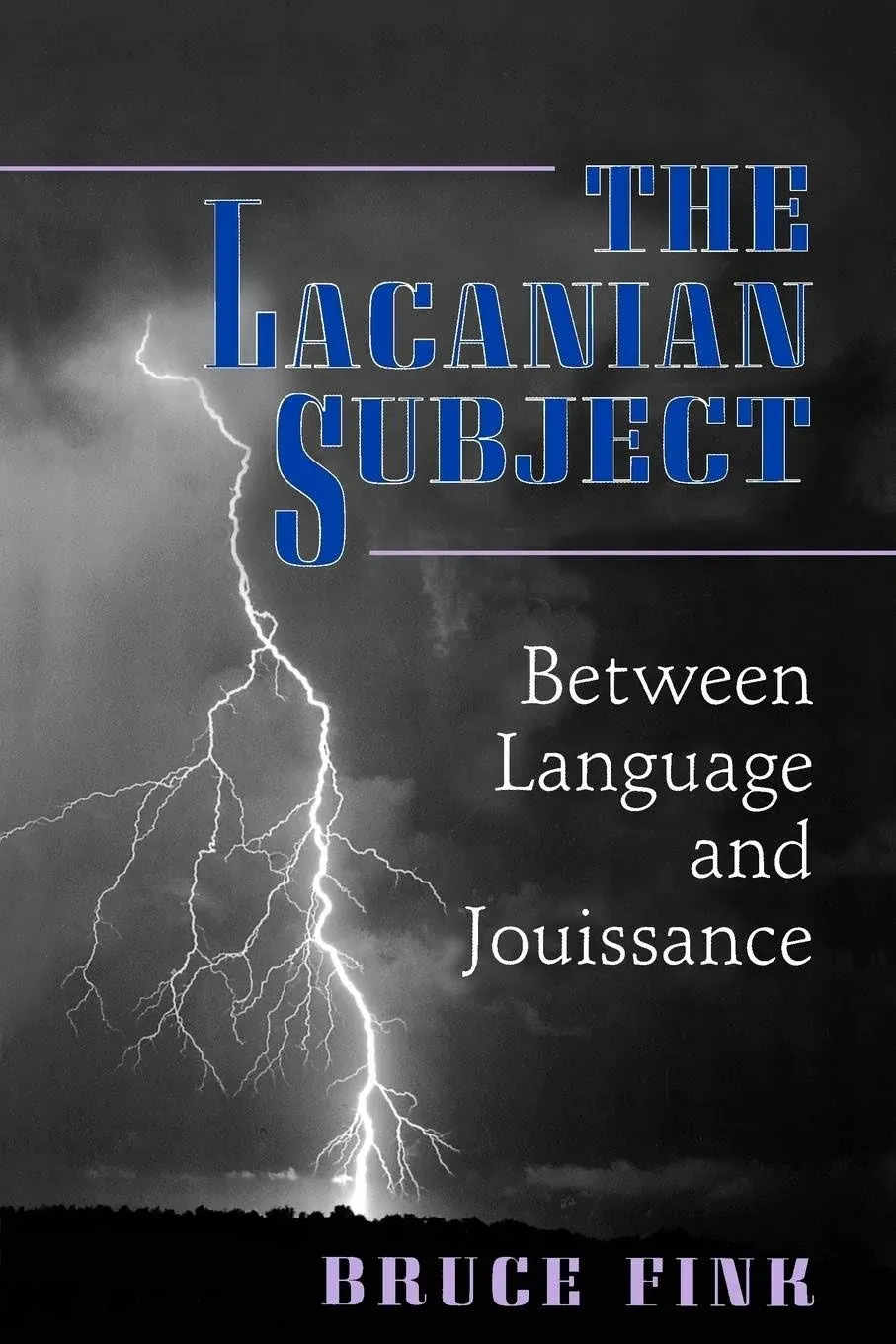 The Lacanian Subject by Fink, Bruce