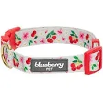 Blueberry Pet Cherry Garden Dog Collar with Dainty Flowers