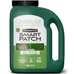 Pennington Smart Patch Dense Shade Mix 10 lb