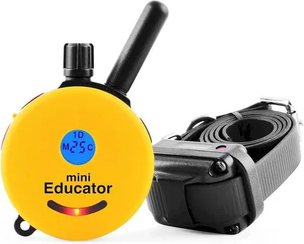 Mini Educator Remote Dog Trainer ET-300 E-Collar