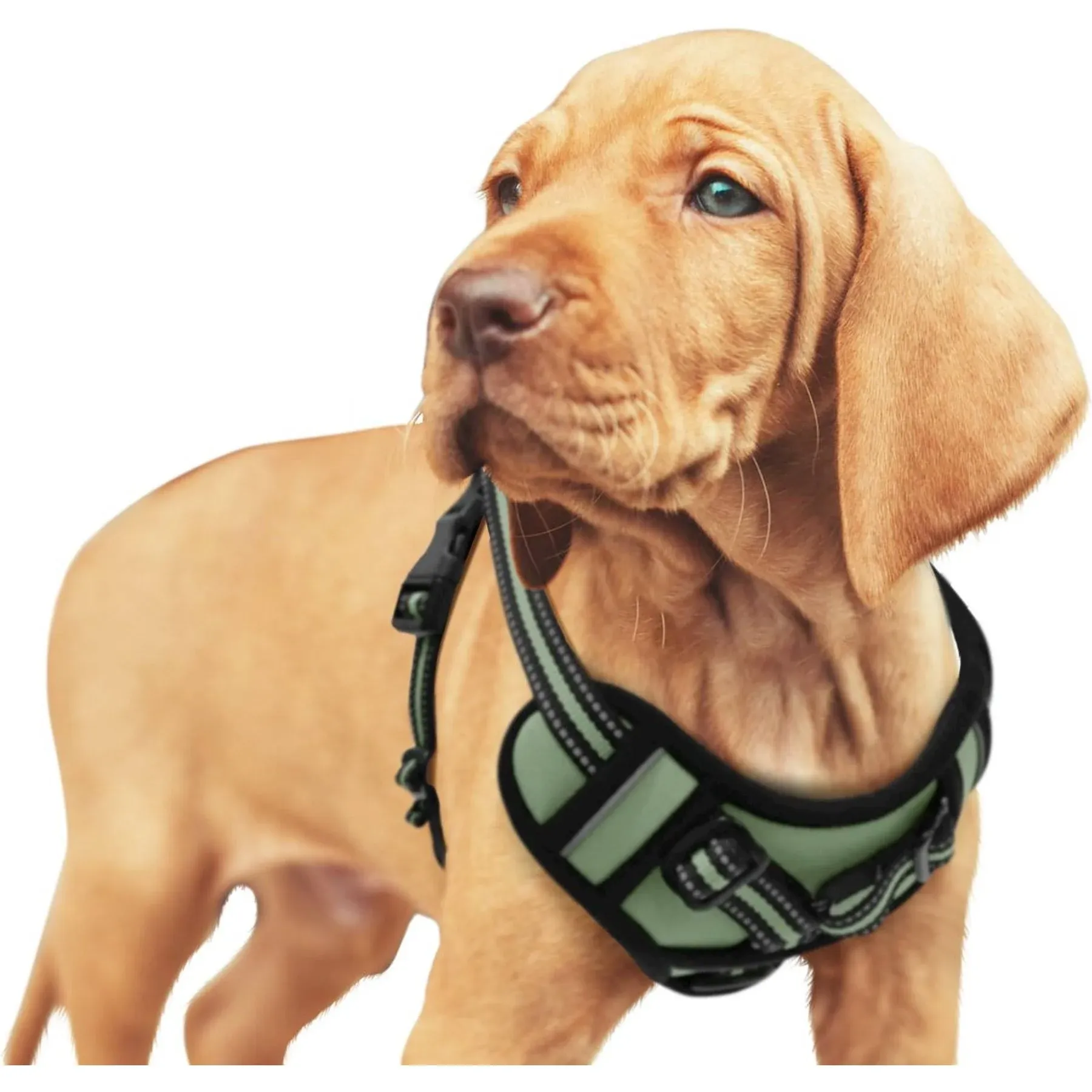 GOOPAWS Padded Reflective Dog Harness Lightweight Ripstop Dog Harness Adjusta...