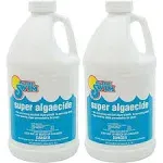 In The Swim - Super Algaecide, 2 x 1/2 Gallons