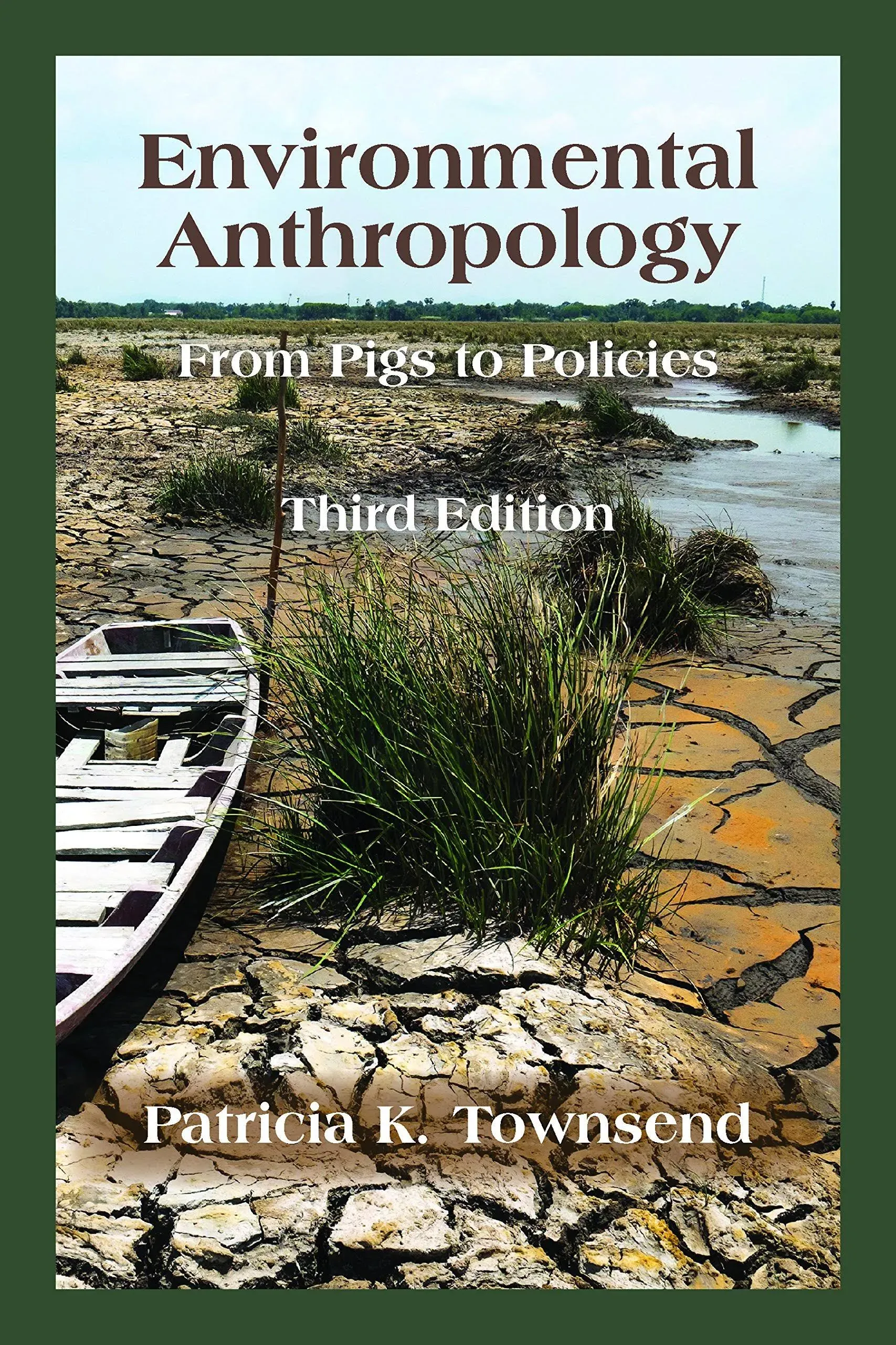 Environmental Anthropology: From Pigs to Policies [Book]