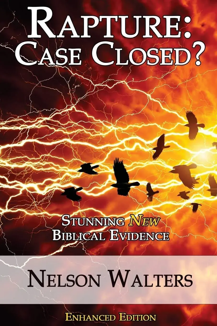 Rapture: Case Closed?: Enhanced Edition