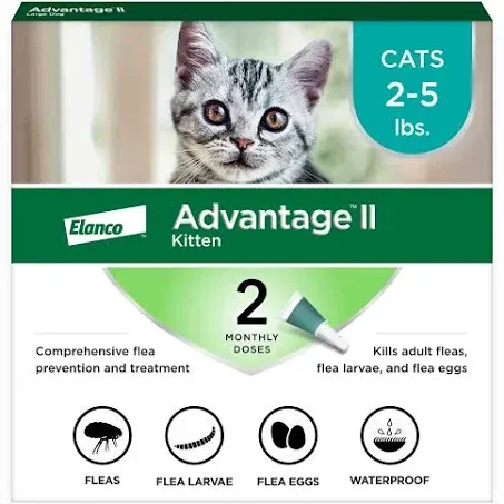 Advantage II Kitten Vet-Recommended Flea Treatment & Prevention | Cats 2-5 lbs. | 2-Month Supply