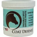 Coat Defense Trouble Spot Drying Paste - 10 oz